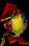 koerper-farbe-licht